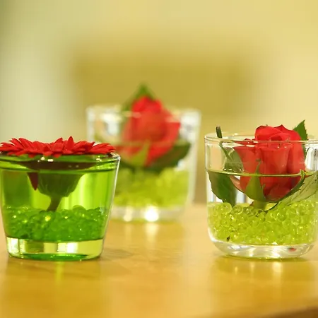 Ante Porta Stadthotel Ξενοδοχείο Τρίερ