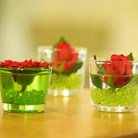 Ante Porta Stadthotel 3* Trevír