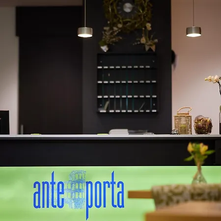 Ante Porta Stadthotel Ξενοδοχείο Τρίερ